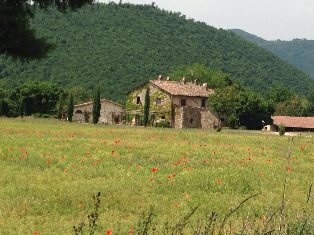 Agriturismo Cardito Santa Rufina Luaran gambar