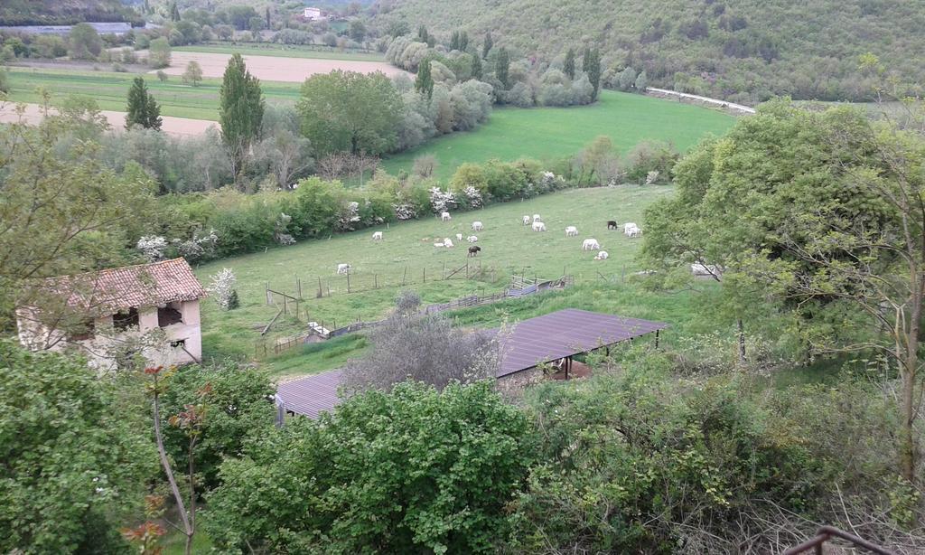 Agriturismo Cardito Santa Rufina Luaran gambar