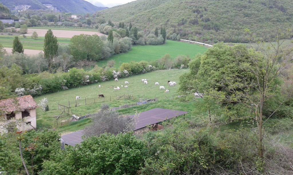 Agriturismo Cardito Santa Rufina Luaran gambar