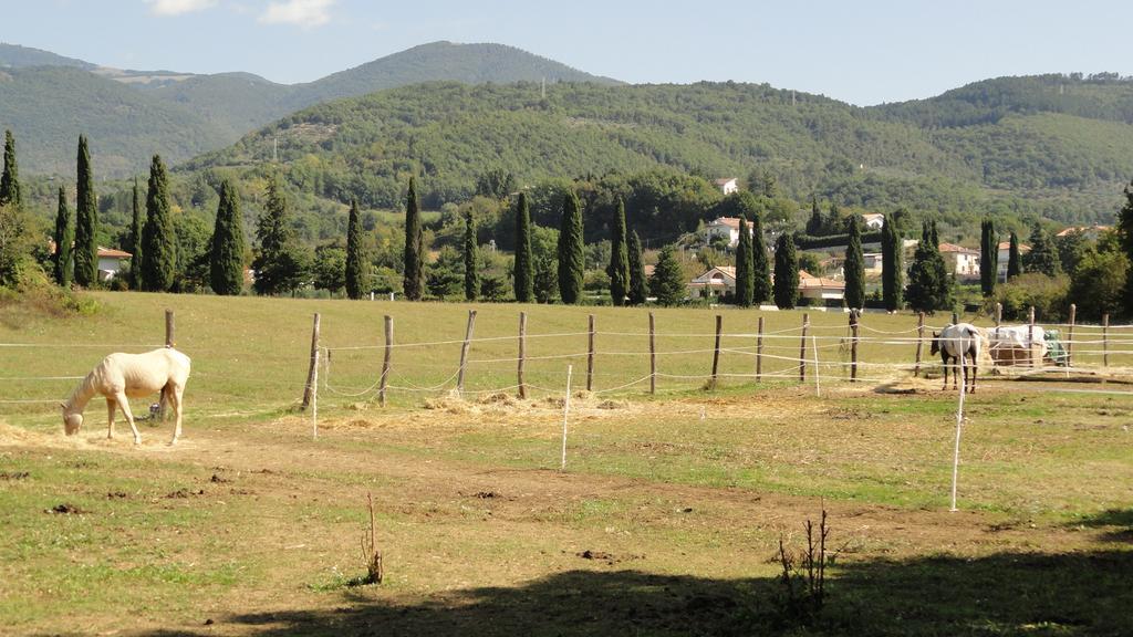 Agriturismo Cardito Santa Rufina Luaran gambar