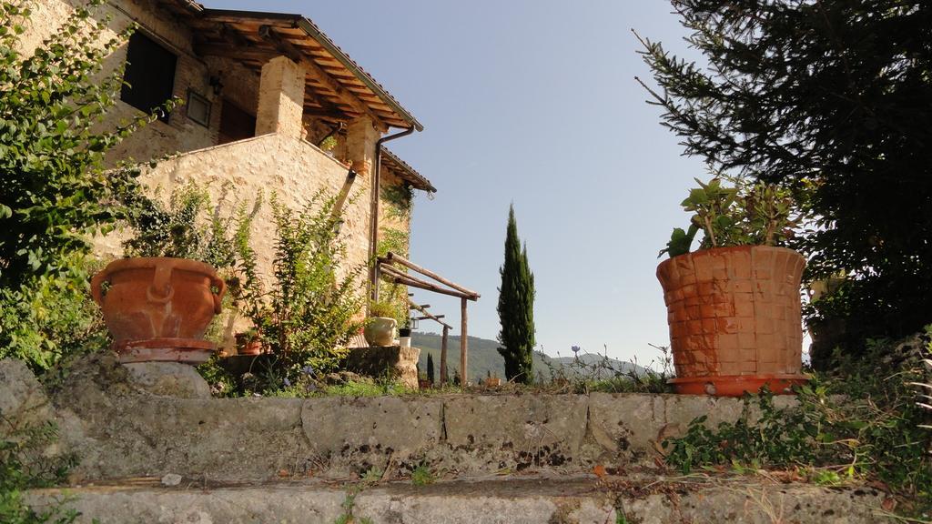 Agriturismo Cardito Santa Rufina Luaran gambar
