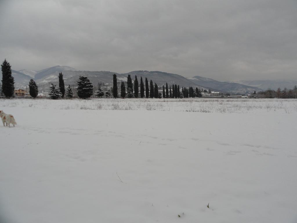 Agriturismo Cardito Santa Rufina Luaran gambar